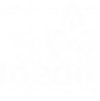 AF-logo-assinatura4-INEDIT-branco-200x199